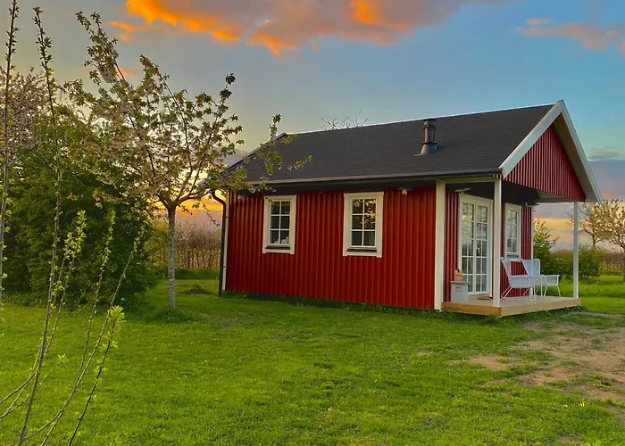 ベッド・アンド・ブレックファスト De Heeren Hoeve Carpe Diem