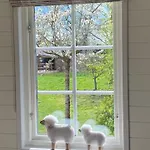 Oda ve Kahvaltı De Heeren Hoeve Carpe Diem